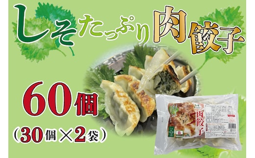 AE-52【ローズポーク使用】JA・しそたっぷり肉餃子（30個）2袋