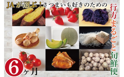 AE-56【6ヶ月定期便】JAが選ぶ！さつまいも好きのための行方まるごと旬鮮便