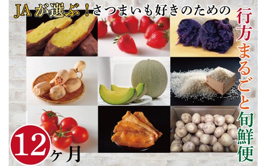 AE-55【12ヶ月定期便】JAが選ぶ！さつまいも好きのための行方まるごと旬鮮便