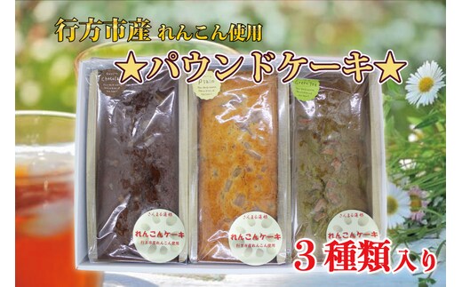 DV-1 れんこん農家青年が作る★パウンドケーキ★