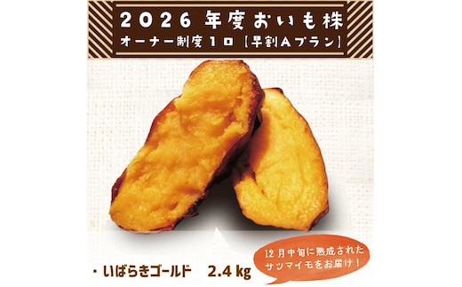 【早割Aプラン】2026年度おいも株オーナー制度 1口｜さつまいも 芋 サツマイモ お芋 おいも株 株 オーナー いばらきゴールド らぽっぽファーム 体験 農園 茨城県 行方市(CQ-8-1)
