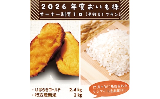 【早割B1プラン】2026年度おいも株オーナー制度 1口｜さつまいも 芋 サツマイモ お芋 おいも株 株 オーナー いばらきゴールド 米 お米 らぽっぽファーム 体験 農園 茨城県 行方市(CQ-6-1)
