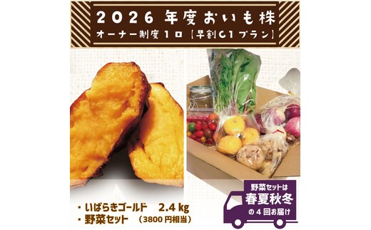【早割C1プラン】2026年度おいも株オーナー制度 1口｜さつまいも 芋 サツマイモ お芋 おいも株 株 オーナー いばらきゴールド 野菜 野菜セット 定期便 らぽっぽファーム 体験 農園 茨城県 行方市(CQ-10-1)