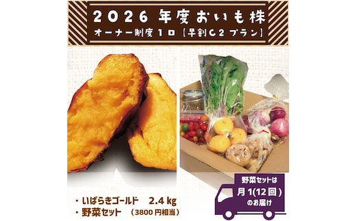 【早割C2プラン】2026年度おいも株オーナー制度 1口｜さつまいも 芋 サツマイモ お芋 おいも株 株 オーナー いばらきゴールド 野菜 野菜セット 定期便 らぽっぽファーム 体験 農園 茨城県 行方市(CQ-11-1)