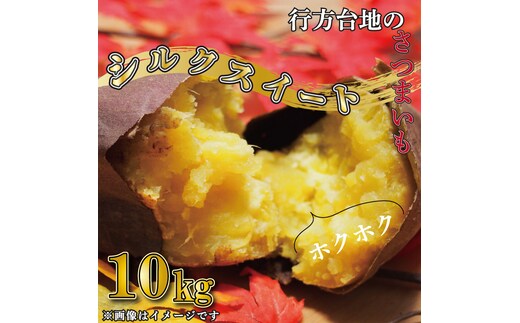 【緊急支援品】 訳あり 無選別 行方台地のさつまいも 熟成 シルクスイート 約10kg 【2026年4月下旬より順次発送】｜シルクスイート 茨城県(CU-85-6)