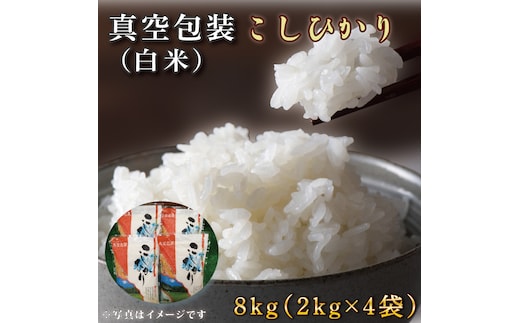 ★真空包装★R7年産こしひかり 8kg(2kg×4袋)【白米】｜米 こめ お米 コシヒカリ こしひかり 真空 真空包装 白米 人気 個包装 茨城県 行方市 送料無料(CZ-8-2)