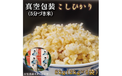 ★真空包装★R7年産こしひかり 8kg(2kg×4袋)【5分づき】｜米 こめ お米 コシヒカリ こしひかり 真空 真空包装 5分づき 人気 個包装 茨城県 行方市 送料無料(CZ-10-2)