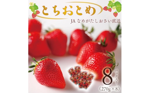 【2026年1月中旬より順次発送】JAなめがたしおさい直送「とちおとめ」2箱（8パック入）(AE-63)