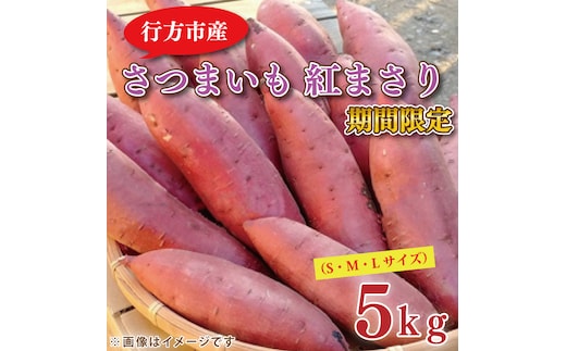 【2026年2月中旬より順次発送】野原さんちのさつまいも 紅まさり 約5kg｜芋 さつまいも サツマイモ お芋 いも 紅まさり 期間限定 先行予約 茨城県 行方市(EL-1-1)