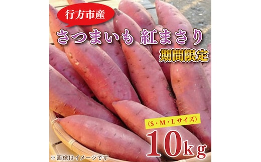 【2026年2月中旬より順次発送】野原さんちのさつまいも 紅まさり 約10kg｜芋 さつまいも サツマイモ お芋 いも 紅まさり 期間限定 先行予約 茨城県 行方市(EL-2)