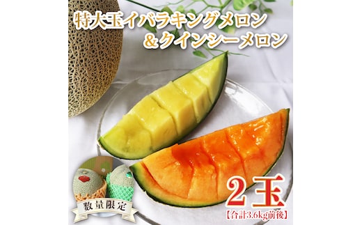 【2026年5月より順次発送】特大玉イバラキングメロン＆クインシーメロン（各1玉／計2玉）｜メロン クインシーメロン イバラキングメロン フルーツ 果物 くだもの 特大 先行予約 茨城県 行方市(BW-16-1)
