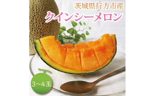 【2026年5月より順次発送】クインシーメロン 3～4玉｜メロン クインシーメロン フルーツ 果物 くだもの 先行予約 茨城県 行方市(BW-17-1)