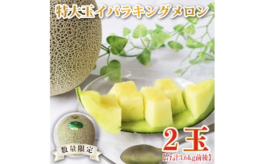 【2026年5月より順次発送】特大玉イバラキングメロン 2玉｜メロン イバラキングメロン フルーツ 果物 くだもの 特大 先行予約 茨城県 行方市(BW-15-1)