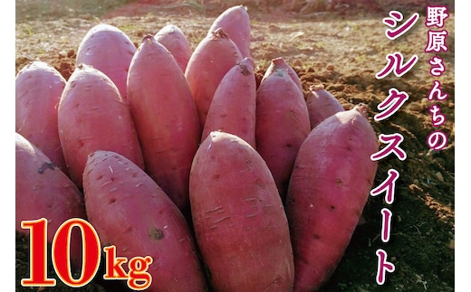 【2026年1月中旬より順次発送】野原さんちのシルクスイート 約10kg｜芋 さつまいも サツマイモ お芋 いも シルクスイート 期間限定 先行予約 茨城県 行方市(EL-4)