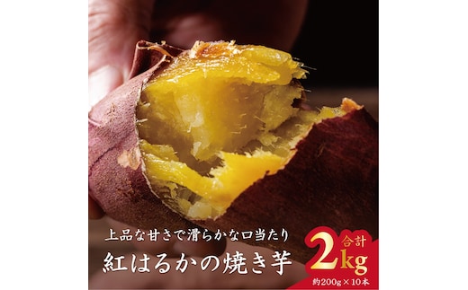 ★ふるさと納税限定★Ms.YAKIIMO 紅はるかの焼き芋 2kg（10本）｜（AP-9）