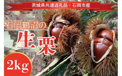 【先行予約】【2026年9月中旬より順次発送】石岡鶴沼の生栗 2kg（茨城県共通返礼品・石岡市産）｜茨城県 行方市 栗 生栗 秋 旬 無農薬(ER-2-1)