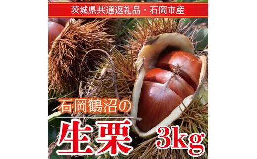 【先行予約】【2026年9月中旬より順次発送】石岡鶴沼の生栗 3kg（茨城県共通返礼品・石岡市産）｜茨城県 行方市 栗 生栗 秋 旬 無農薬(ER-3-1)