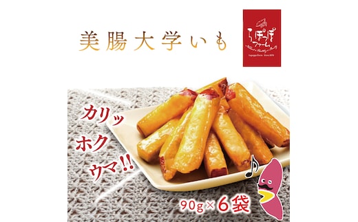 【2025年12月中旬より順次発送】らぽっぽファーム 美腸大学いも 90g×6袋｜さつまいも 大学芋 芋 サツマイモ だいがくいも スイーツ お菓子 冷凍 美腸大学芋 人気 送料無料 茨城県 行方市 らぽっぽファーム(CQ-14)