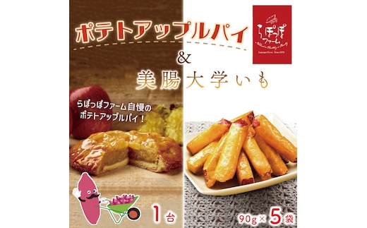 【2025年12月中旬より順次発送】らぽっぽファームポテトアップルパイ＆美腸大学いも5袋 | りんごパイ 焼き菓子ギフト さつまいもスイーツ 美腸大学いも ご褒美 芋スイーツ お菓子 さつまいも 内祝 健康 おやつ(CQ-17)