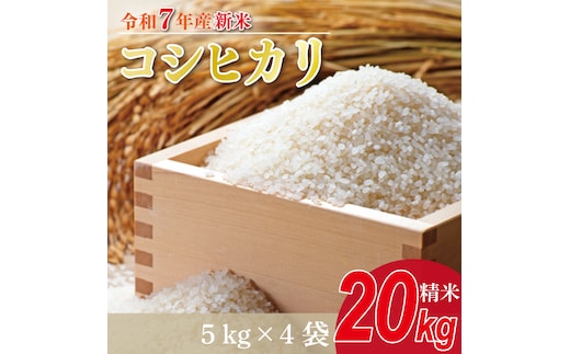 ★新米★R7年産 コシヒカリ 20kg(5kg×4袋)｜米 お米 白米 精米 新米 R7年産 令和7年産 こしひかり コシヒカリ 茨城県 茨城県産 行方市(HA-15)