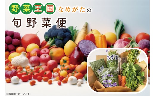 CU-127 野菜王国なめがたの旬野菜便