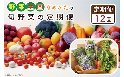 CU-130 【12ヶ月定期便】野菜王国なめがたの旬野菜の定期便