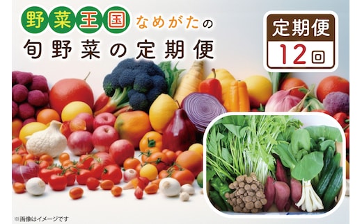 CU-134 【12ヶ月定期便】野菜王国なめがたの旬野菜の定期便（さつまいも入り）