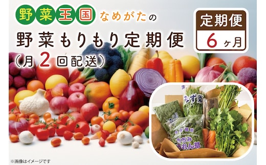 CU-141 【6ヶ月定期便】野菜王国なめがたの野菜もりもり定期便（月２回発送）