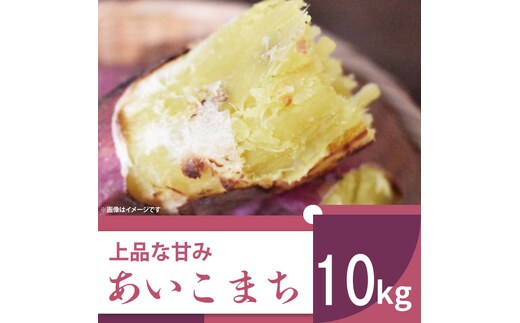 【2025年11月より順次発送】2025年度産 上品な甘みのさつまいも あいこまち 約10kg｜さつまいも サツマイモ さつま芋 芋 お芋 あいこまち 先行予約 渋谷農園 人気 送料無料 茨城県 行方市(BZ-6)