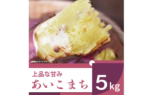 【2025年11月より順次発送】2025年度産 上品な甘みのさつまいも あいこまち 約5kg｜さつまいも サツマイモ さつま芋 芋 お芋 あいこまち 先行予約 渋谷農園 人気 送料無料 茨城県 行方市(BZ-7)