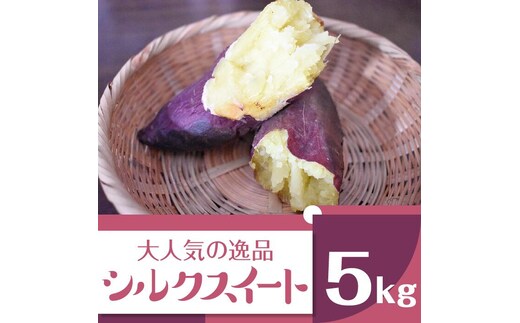 【2025年11月より順次発送】2025年度産 まるで絹のようななめらかなさつまいも シルクスイート 約5kg｜さつまいも 芋 お芋 シルクスイート 渋谷農園 先行予約 茨城県 行方市(BZ-19)