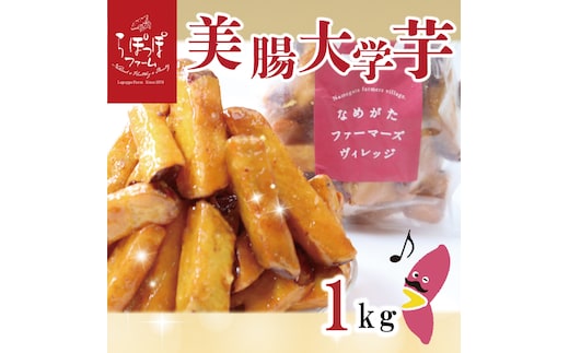 【2025年12月中旬より順次発送】らぽっぽファーム【工場直送】美腸大学いも 1kg｜さつまいも 大学芋 芋 サツマイモ だいがくいも スイーツ お菓子 冷凍 美腸大学芋 人気 送料無料 茨城県 行方市 らぽっぽファーム(CQ-19)