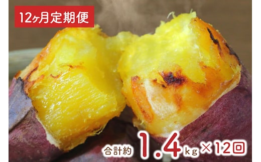 【12ヶ月定期便】★少し大きめサイズ★熟成紅はるか冷凍焼き芋約1.2kg＋おまかせ品種さつまいも 合計約1.4kg!（EY-22）
