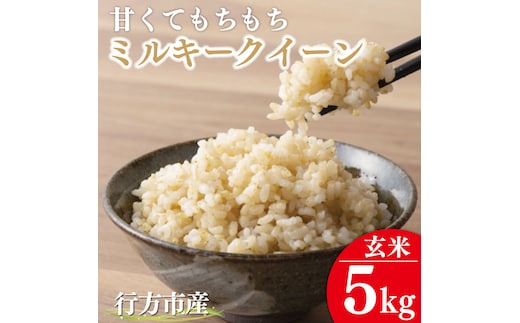 ★令和7年度産★甘くてもちもち ミルキークイーン5kg(玄米)｜米 お米 こめ ミルキークイーン 令和7年産 R7年産 新米 玄米 茨城県 行方市(BR-9)