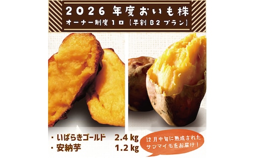 【早割B2プラン】2026年度おいも株オーナー制度 1口｜さつまいも 芋 サツマイモ お芋 おいも株 株 オーナー いばらきゴールド 安納芋 らぽっぽファーム 体験 農園 茨城県 行方市(CQ-27-1)