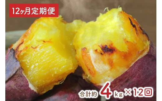 【12ヶ月定期便】★訳あり★紅はるか冷凍焼き芋約3.7kg＋おまかせ品種さつまいも 合計約4kg（EY-31）