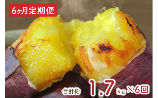 【6ヶ月定期便】★訳あり★紅はるか冷凍焼き芋約1.5kg＋おまかせ品種さつまいも 合計約1.7kg（EY-33）