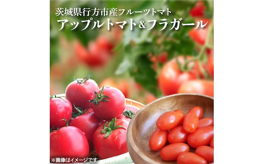 【2026年6月より順次発送】東山農園のアップルトマトとフラガール 合計約1kg｜トマト とまと 野菜 やさい 数量限定 先行予約 アップルトマト 新感覚 濃厚 フルーツ フルーツトマト 茨城県 行方市 ふるさと納税(FP-2)