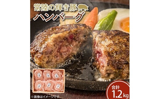 FQ-1 常陸の輝き豚ハンバーグ 約200ｇ×6パック