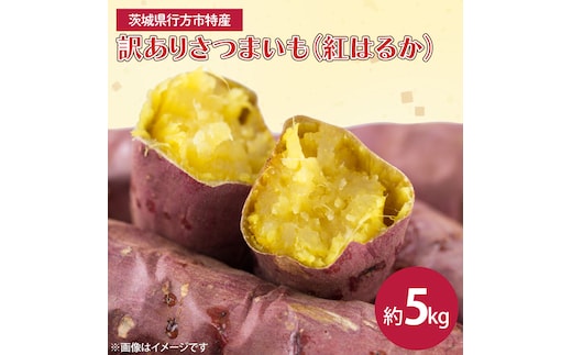 茨城県産 紅はるか 訳あり サイズミックス 約5kg｜訳あり わけあり 訳アリ さつまいも サツマイモ さつま芋 紅はるか べにはるか 芋 いも 茨城県産 行方市(FU-1)
