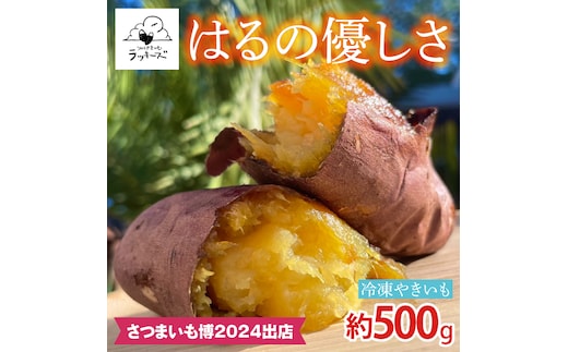 【2025年12月中旬より順次発送】【日本最大級のサツマイモの祭典、さつまいも博2024 出店】はるの優しさ(冷凍やきいも) 約500g｜冷凍 焼芋 焼き芋 やきいも さつまいも さつま芋 熟成 茨城県 行方市 ふるさと納税(GC-1)