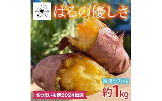 【2025年12月中旬より順次発送】【日本最大級のサツマイモの祭典、さつまいも博2024 出店】はるの優しさ(冷凍やきいも) 約1kg｜冷凍 焼芋 焼き芋 やきいも さつまいも さつま芋 熟成 茨城県 行方市 ふるさと納税(GC-2)