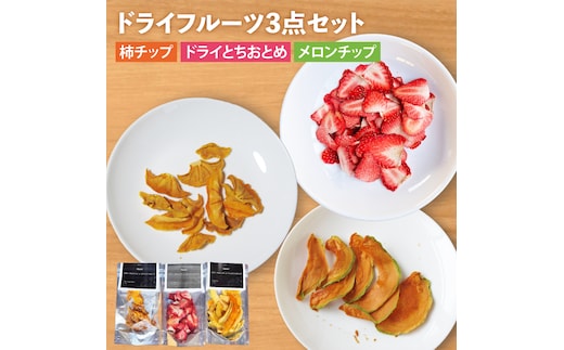 【2026年7月より順次発送】【無添加】ドライフルーツ3点セット｜ドライフルーツ フルーツ くだもの 果物 無添加 とちおとめ 苺 いちご 柿 メロン 乾燥フルーツ セット 非常食 長期保存 先行予約 茨城県 行方市(EP-7)