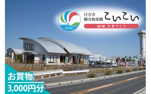 CT-20 行方市観光物産館「こいこい」お買物3,000円分