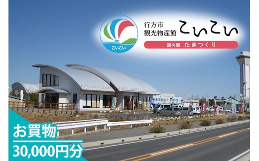 CT-29 行方市観光物産館「こいこい」お買物30,000円分