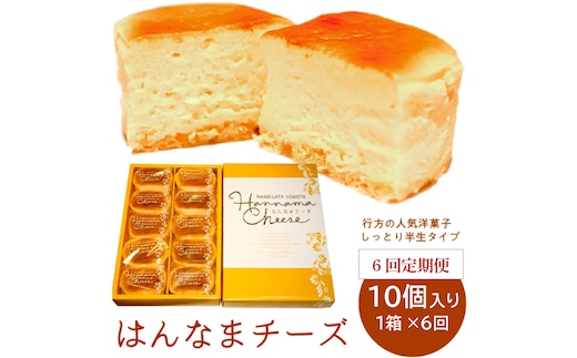 H-34 【6回定期便】はんなまチーズ10個入り1箱