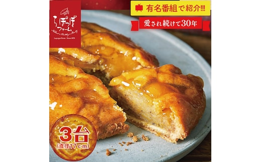 らぽっぽファーム ポテトアップルパイ３台 | りんごパイ パイ 焼き菓子ギフト さつまいもスイーツ ご褒美スイーツ 芋スイーツ おいもスイーツ お菓子 さつまいも 内祝 健康 おやつ(CQ-41)