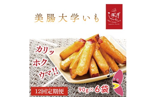 【12ヶ月定期便】らぽっぽファーム 美腸大学いも｜さつまいも 大学芋 芋 サツマイモ だいがくいも スイーツ お菓子 冷凍 美腸大学芋 人気 送料無料 茨城県 行方市 らぽっぽファーム（CQ-57）