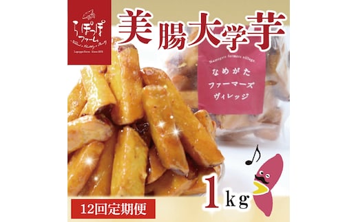 【12ヶ月定期便】らぽっぽファーム【工場直送】美腸大学いも1kg｜さつまいも 大学芋 芋 サツマイモ だいがくいも スイーツ お菓子 冷凍 美腸大学芋 人気 送料無料 茨城県 行方市 らぽっぽファーム（CQ-69）