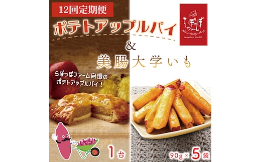 【12ヶ月定期便】らぽっぽファーム ポテトアップルパイ＆美腸大学いも5袋|りんごパイ 焼き菓子ギフト さつまいもスイーツ 美腸大学いも ご褒美 芋スイーツ お菓子 さつまいも 内祝 健康 おやつ（CQ-66）